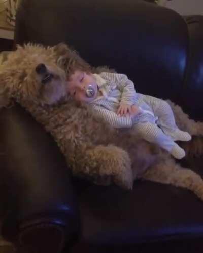 Крепкий сон