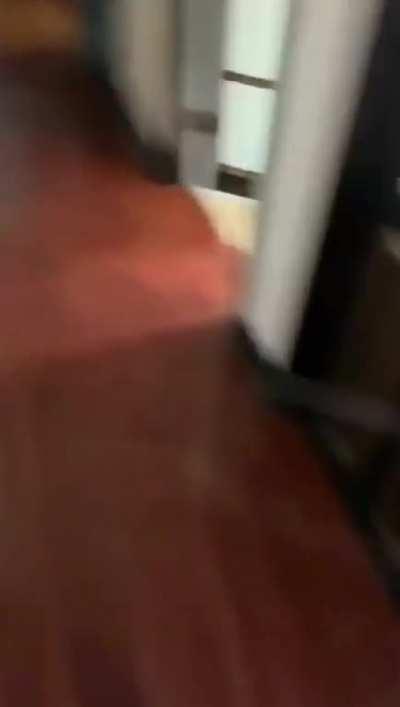 It reminds me of Jurassic Park 1 when the velociraptors jump on the T-Rex xD