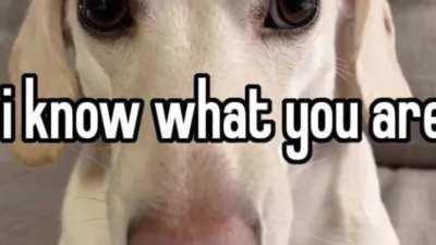 Found this on Twitter 😂