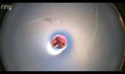 Pov: you're the last pringle