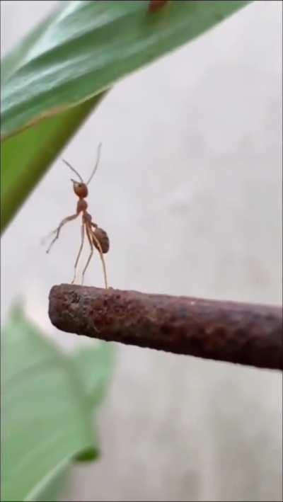 They... they left me...