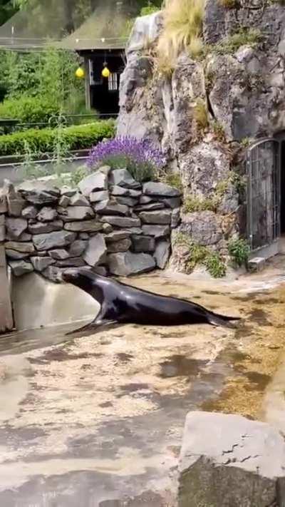 They see me slidin' they hatin'