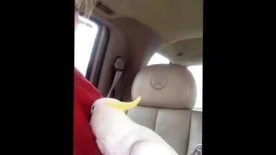 ----------------------------------------------------