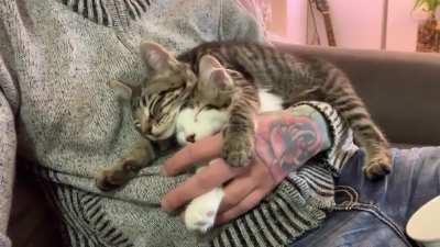 Both brothers got tuckered out after their morning play sesh.