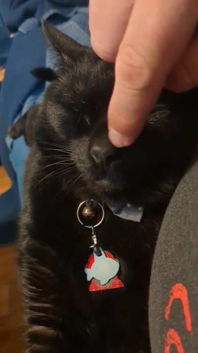 One million and two boops