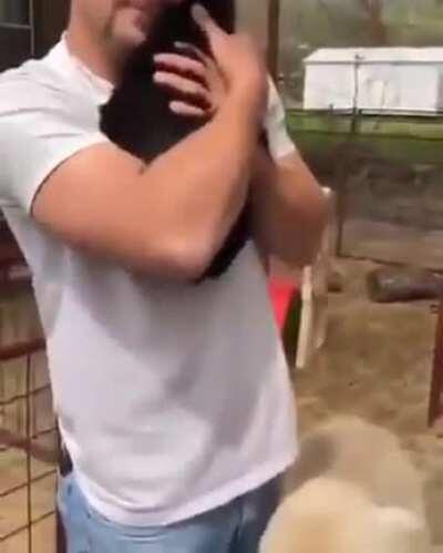 Goats waiting their turn to be hugged.....