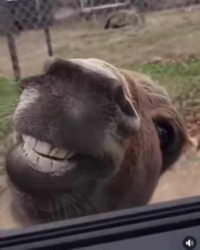 Меня снимаете?