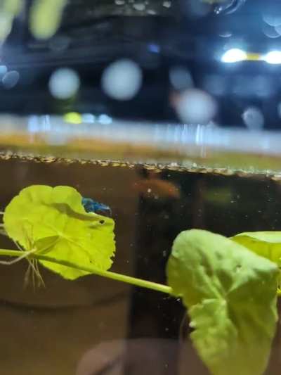 Just found the sub and needed to share from a couple weeks ago.