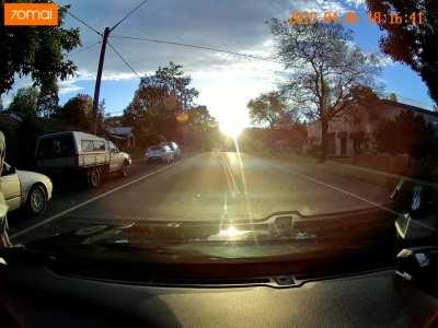 Reminder to always pay attention to your pets and children near the road