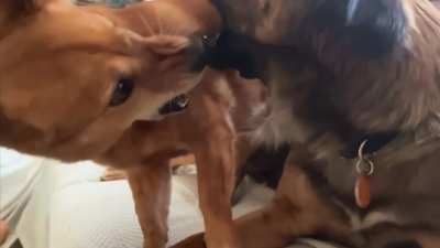 Play Sneezes In SloMo