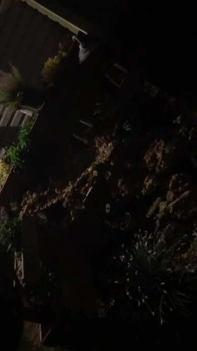 Heard this last night. Whatever it was howled once and I figured I’d turn my video to see if I could catch it if it howled again. What do you guys think?