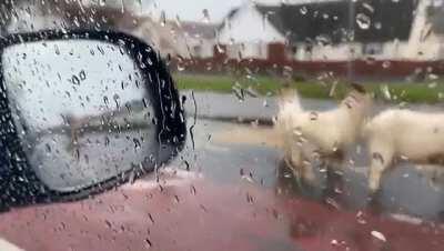 That's not COVID safe