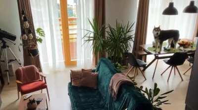 He was left alone at home for just a few minutes