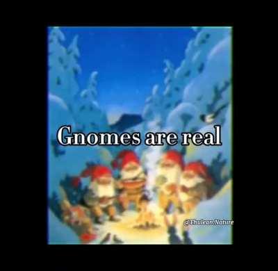 I see them in my garden, in my walls, they are real.