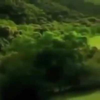 this car following a road