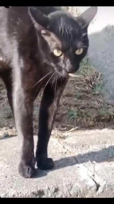 Behold the glorious ascension