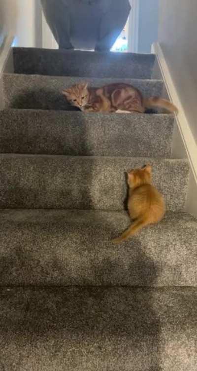 She wasn’t expecting him to be so quick!