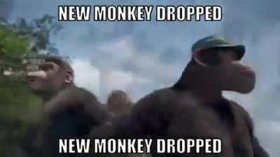 new monke