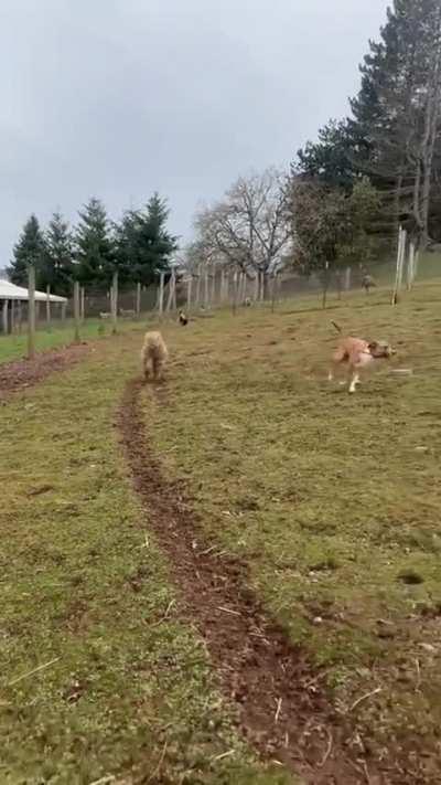 An unlikely friendship