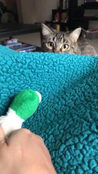 You can almost feel the loading bar in his brain fill up