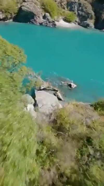 🔥Drone shot of a river beside a forest