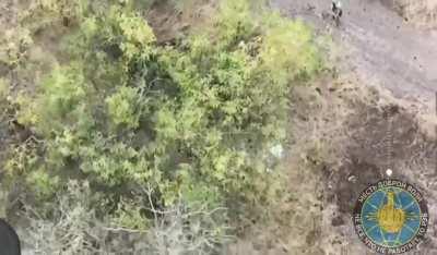RU POV: Elimination of multiple Ukrainian soldiers with the help of drones and artillery, one of them commits suicide after being wounded