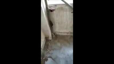 Ritz after getting deconfirmed for week 7