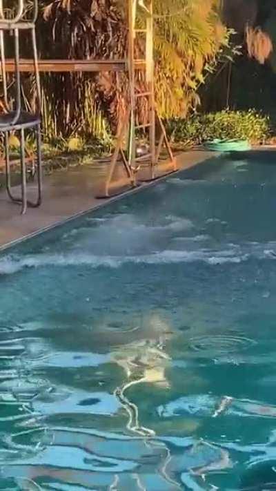 Guy almost dies while doing a stupid challenge