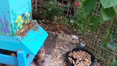 My girls knew a strong thunderstorm was about to hit.