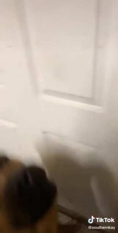 My Dad’s Favorite Tiktoks: pt 4 (wait til the end)