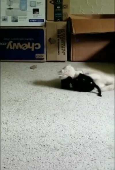 Da heck just happened