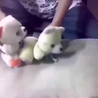 Creo que tengo shadow ban