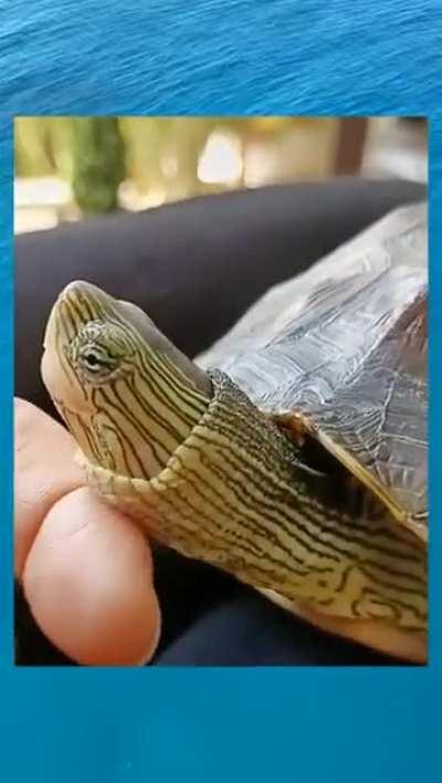 She keeps stroking it and it keeps getting bigger