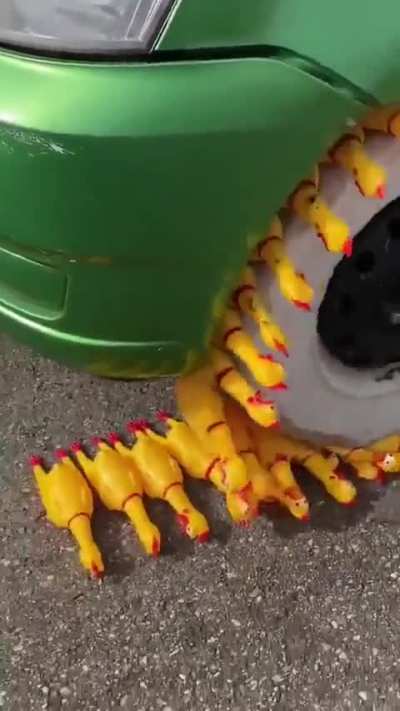 They sound like guinea pigs going into helicopter mode