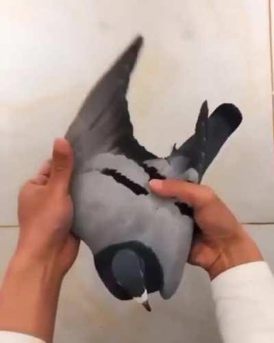 Using uv light, you can see the circuits that make up these government drones