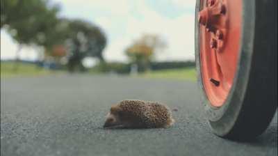 How trying to get to the farmers market before the prices drop feels like.