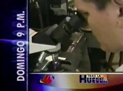 ¿Alguien tiene información sobre este programa de Canal 4 o lo llegó a ver?