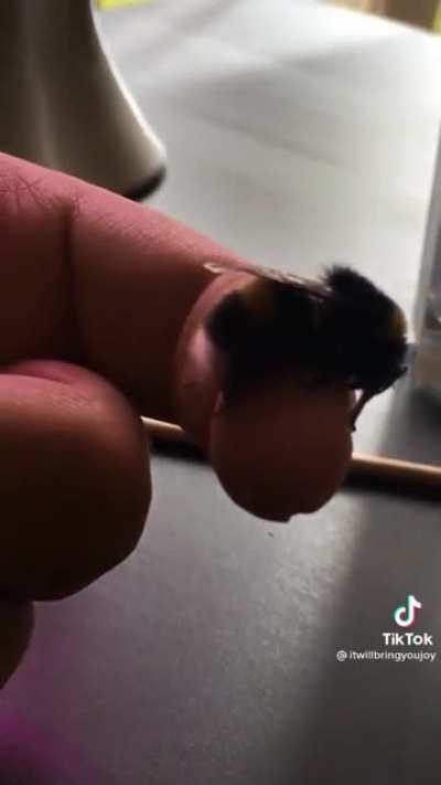 Dangling lil’ legs!