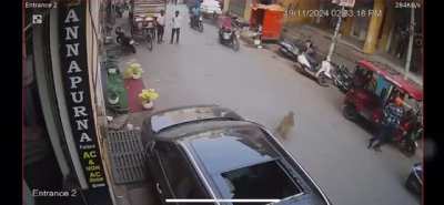 Looks like a nice day