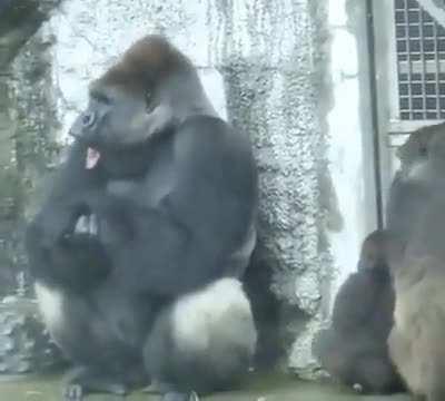 Remarkable what a touch can do