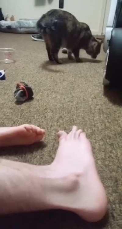 I can pop my ankle. I can pop it hard enough to launch things