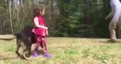 Dog protecting a child