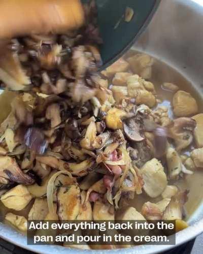 Chicken and Mushroom Pie