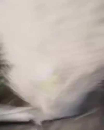 Dude wakes up in his tent and discovers this 