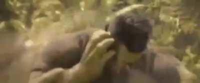 DRILL! (Taken from WavePrism_ on Twitter)