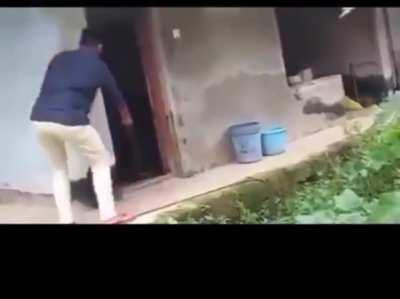 Taking a huge cobra out of the house