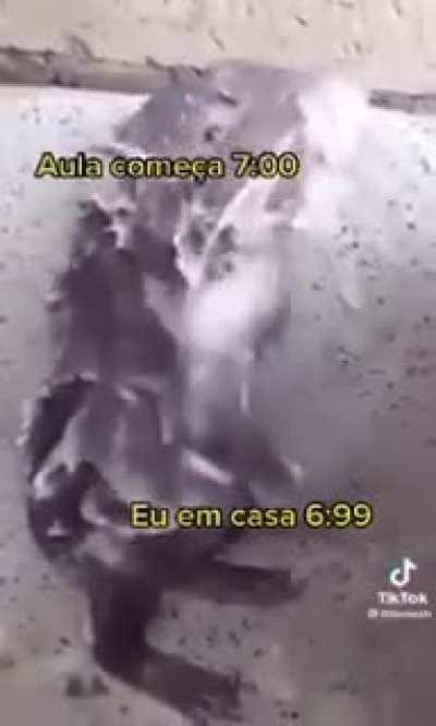 eu🚿nvr