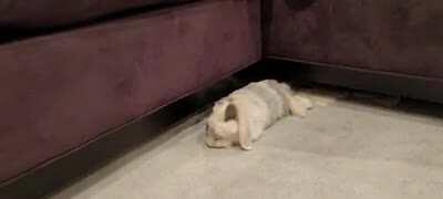 We got our first flop!