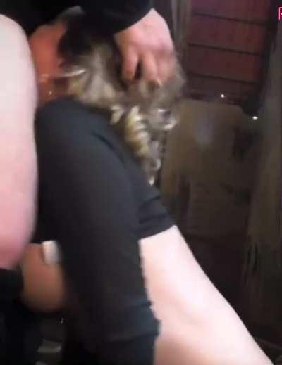 Mom throating me in a restaurant bathroom