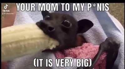 P*nis more like p**nsus😳